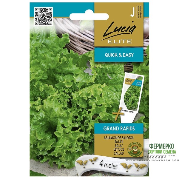 Семена на Лента Салата Гранд Рапидс Grand Rapids