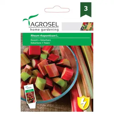 Ревен Rheum rhaponticum