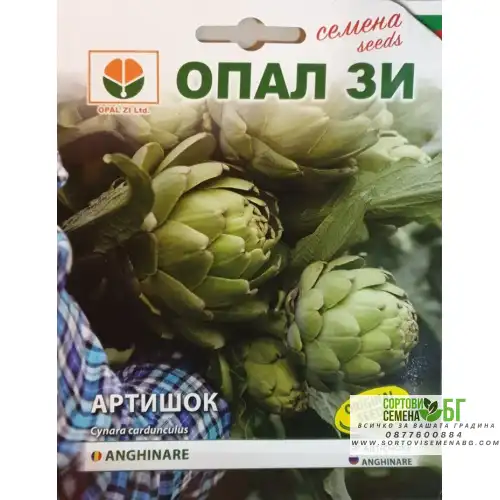 Артишок