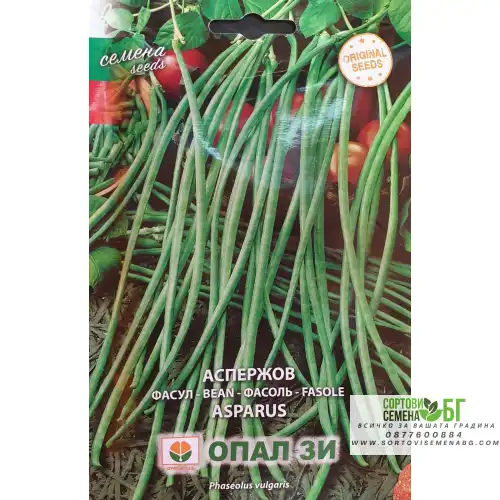 Аспержов фасул
