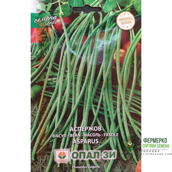 Аспержов фасул