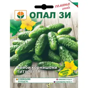 Бейби Корнишони Титус F1