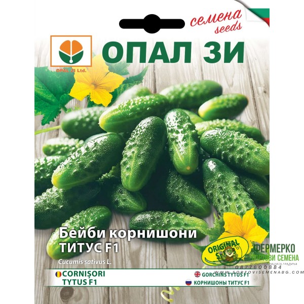 Бейби Корнишони Титус F1