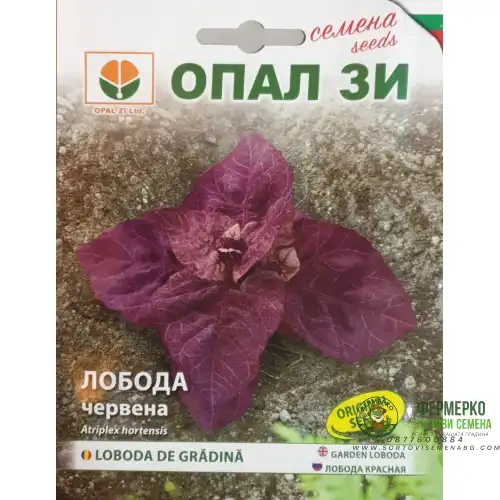 Лобода червена