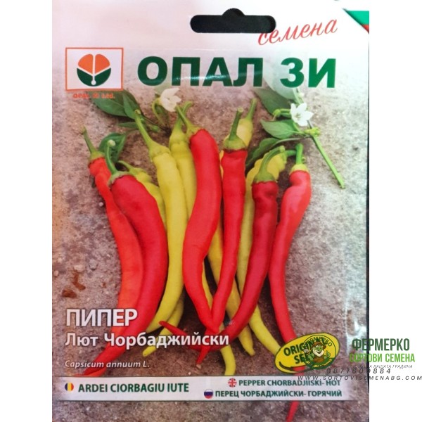 Пипер Лют Чорбаджийски