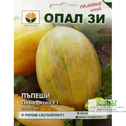 Пъпеш Победител F1