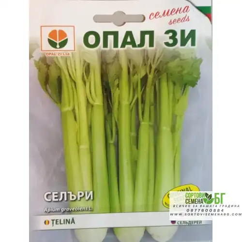 Селъри (Дръжкова Целина)