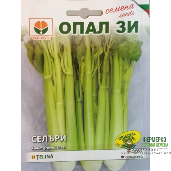 Селъри (Дръжкова Целина)