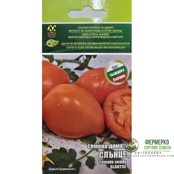 Домати Слънце - ИЗК Марица