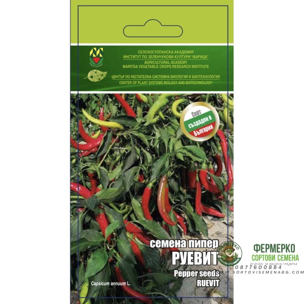 Лют Пипер Руевит - ИЗК Марица