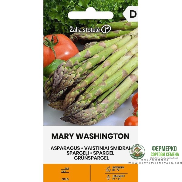 Аспержи Вашингтон Mary Washington