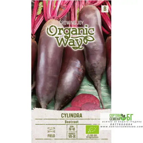Органик Червено Цвекло Цилиндрично / Cylindra Органик Червено Цвекло Цилиндрично / Cylindra