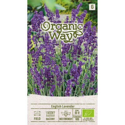 Органик Английска Лавандула / Lavandula angustifolia Mill