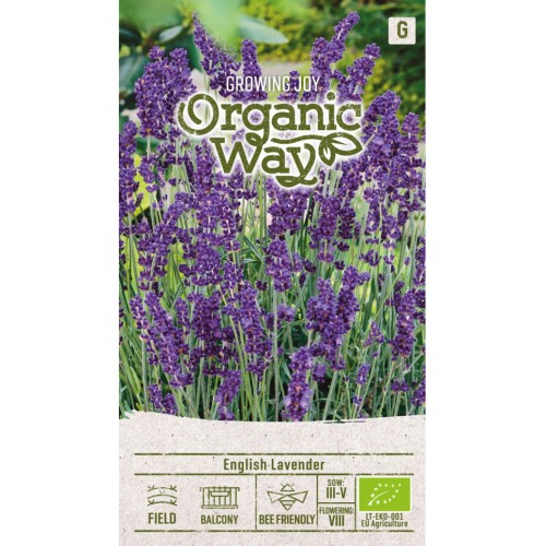 Органик Английска Лавандула / Lavandula angustifolia Mill