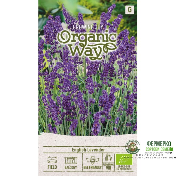 Органик Английска Лавандула Lavandula angustifolia Mill
