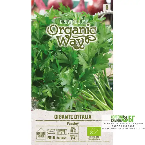 Органик Магданоз Италиански Гигант / Gigante Ditalia Органик Магданоз Италиански Гигант / Gigante Ditalia