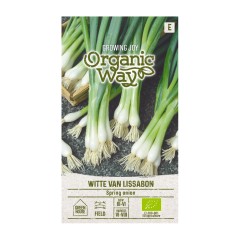Органик Лук Пролетен за пера Witte Van Lissabon