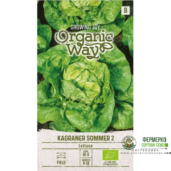 Органик Салата Кагранер Сомер 2 Kagraner Sommer 2