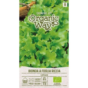 Органик Салата с къдрави листа / Bionda a foglia riccia