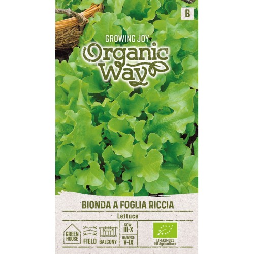 Органик Салата с къдрави листа / Bionda a foglia riccia