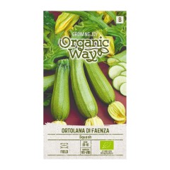 Органик Тиквичка Ортолана Ди Фаенца Ortolana di Faenza