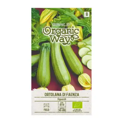Органик Тиквичка Ортолана Ди Фаенца Ortolana di Faenza