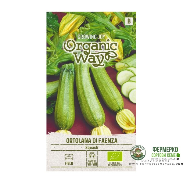 Органик Тиквичка Ортолана Ди Фаенца Ortolana di Faenza