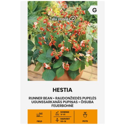 Фасул Хестия / Hestia (саксиен  с бяло зърно)