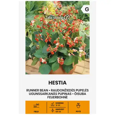 Фасул Хестия / Hestia (саксиен  с бяло зърно)