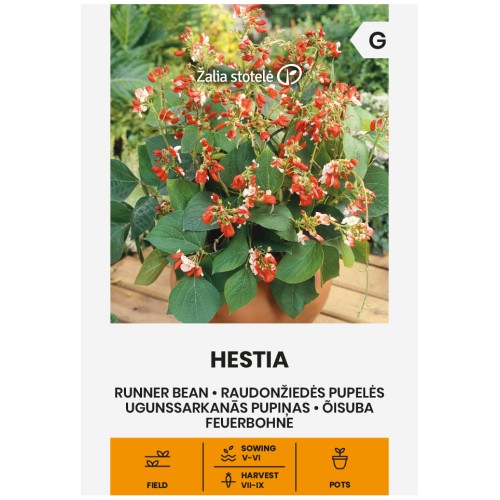Фасул Хестия / Hestia (саксиен  с бяло зърно)
