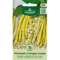 Фасул за зрял Мишел с дълги шушулки / Michelet a longue cosse (джудже)
