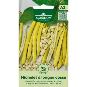 Фасул за зрял Мишел с дълги шушулки / Michelet a longue cosse (джудже)