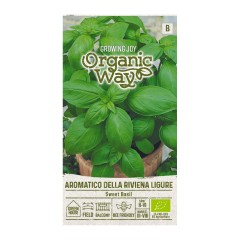 Органик Босилек Aromatico della Riviera Ligure Ocimum basilicum