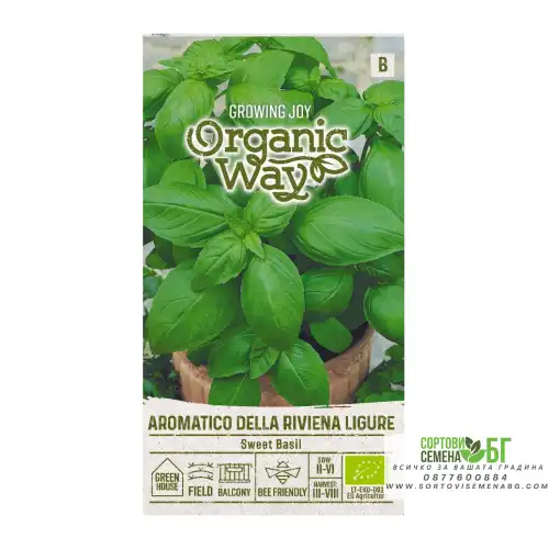 Органик Босилек Aromatico della Riviera Ligure / Ocimum basilicum