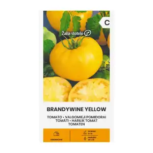 Домат Брендиуайн жълт / Brandywine Yellow
