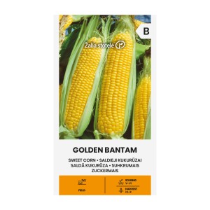 Царевица захарна Голдън батам / Golden Bantam