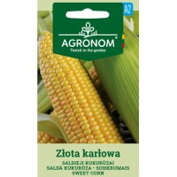 Царевица сладка Злота Карлова / Zlota Karlowa