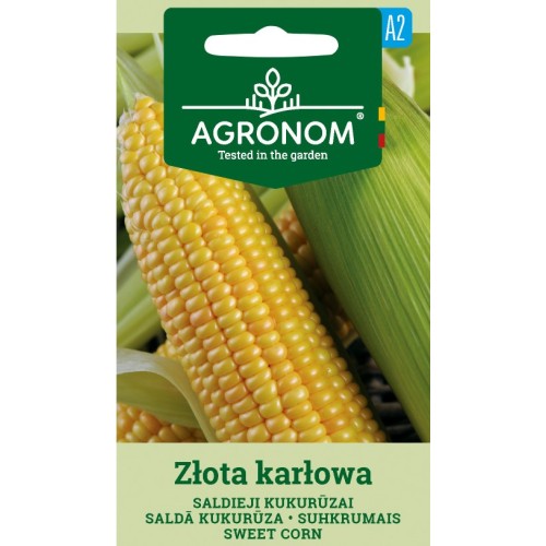 Царевица сладка Злота Карлова / Zlota Karlowa
