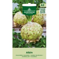 Целина главеста Албин / Albin (Apium graveolens var. rapaceum)