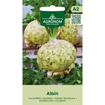 Целина главеста Албин / Albin (Apium graveolens var. rapaceum)