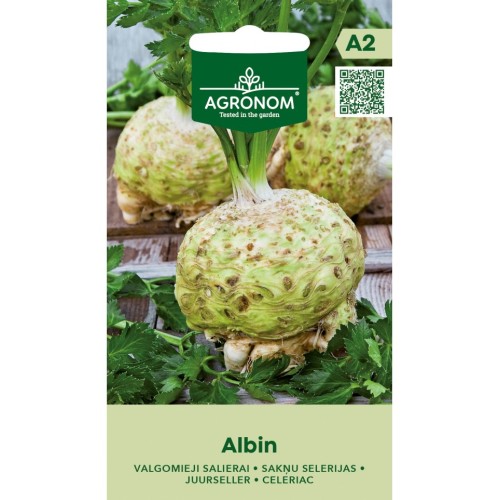 Целина главеста Албин / Albin (Apium graveolens var. rapaceum)