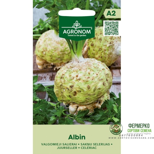 Целина главеста Албин Albin
