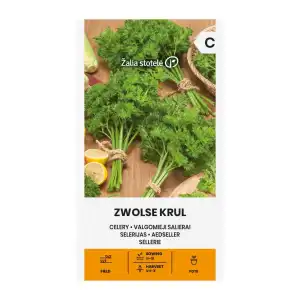 Целина Листна Къдрава Zwolse Krul