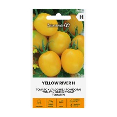 Чери домати Йелол рийвър F1 Yellow river H