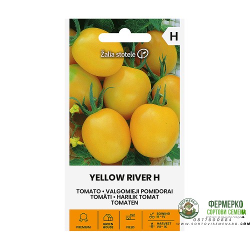 Чери домати Йелол рийвър F1 Yellow river H