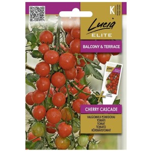 Чери Домати Каскадни / Cherry Cascade