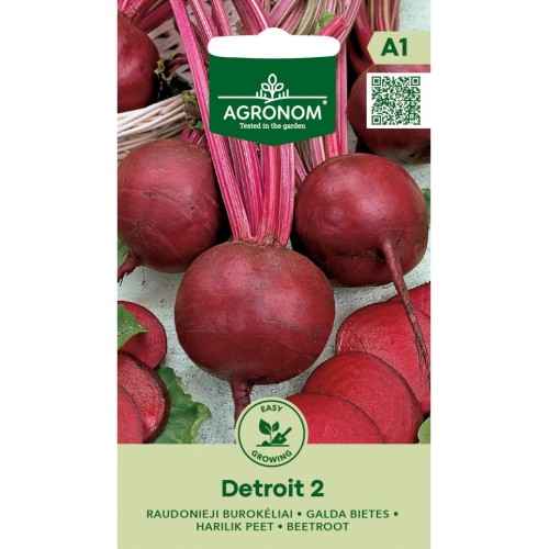Салатно цвекло Детройт 2 / Beta vulgaris L