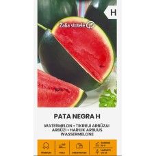 Диня Пата Негра F1 Pata Negra H