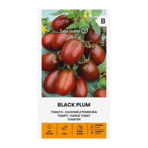 Домат Чери Черно издължено сорт Black Plum