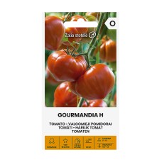Домат Гурмандиа F1 Gourmandia H